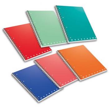 Quaderno Pigna Maxi Spiralato 4 Fori 70 Fogli A4 80 g/m2