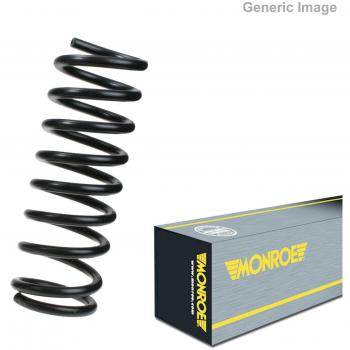Monroe Spiralfeder hinten Ford Fiesta 5