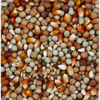 Natuurlijk Dovix Maïs 20 kg – Klein