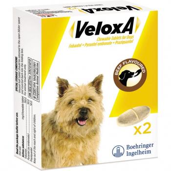 Veloxa Worming Pills for Dogs