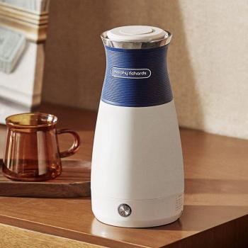 Portable 700W Water Heater