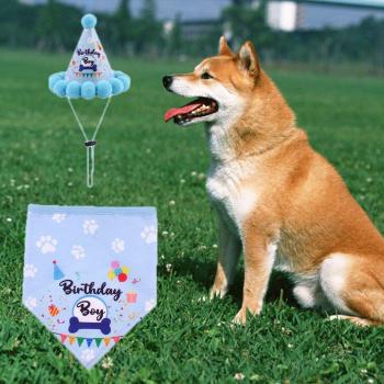 Écharpe triangulaire pour chien avec chapeau de fête