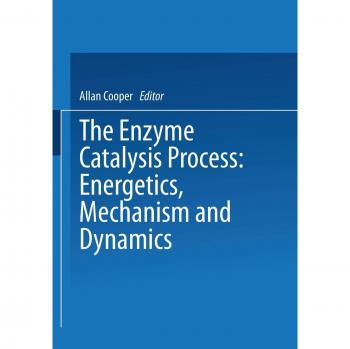 The Enzyme Catalysis Process