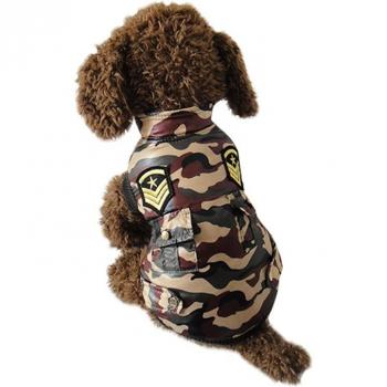 Modische Hundebekleidung für den Winter