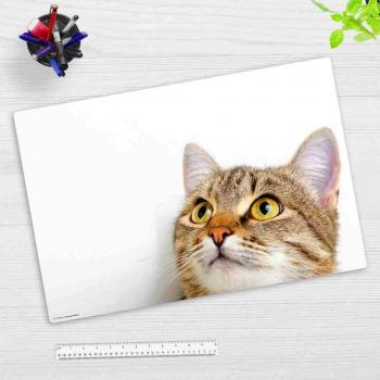 Premium Vinyl Schreibtischunterlage Katzenblick 60 x 40 cm