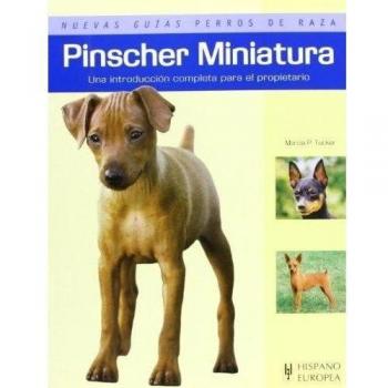Pinscher miniatura