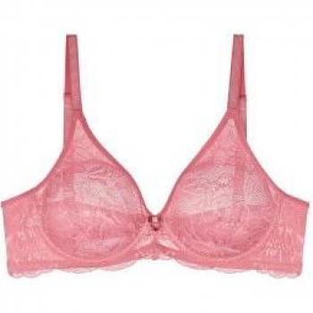 Lace & Net Intimates