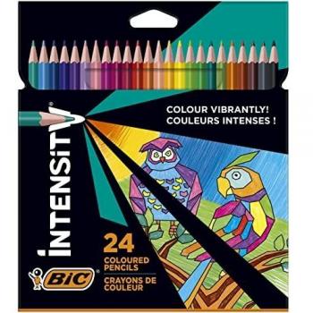 Carnet de couleurs Intely Peppe 24