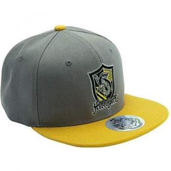 Copricapo ABYstyle Potter Grigio