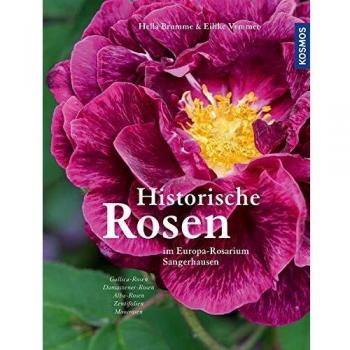 Historische Rosen: im Europa-Rosarium Sangerhausen