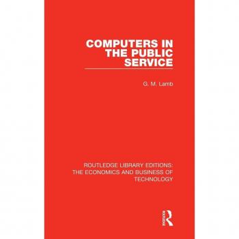 Computers in the Public Service (Routledge Library Editions: The Economics and Business of Technology)