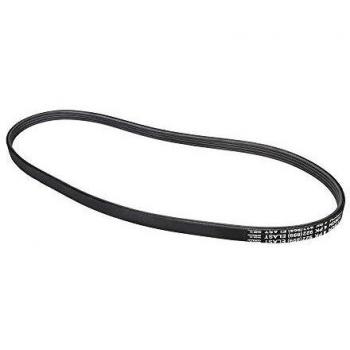 Contitech 4PK922 ELAST Courroie striée