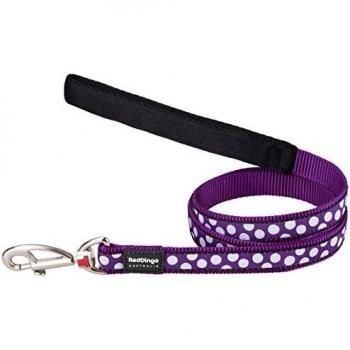 Laisse pour Chien Red Dingo Violet à Pois Taille T2