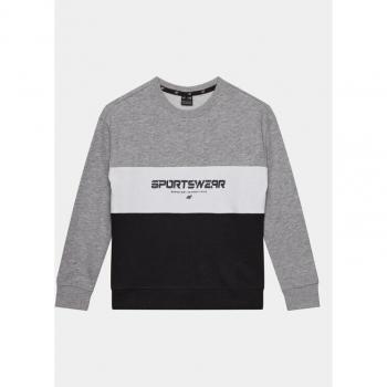 4F Freizeitpullover Grau für Herren