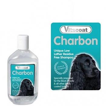 Champú para Cabello Negro con Carbón