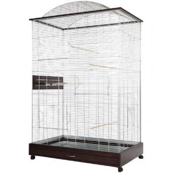 SS Skyline Payless Loretto XXL Aviatic Haven