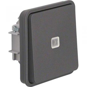 Berker Kontroll-Wechselschalter W.1 gr