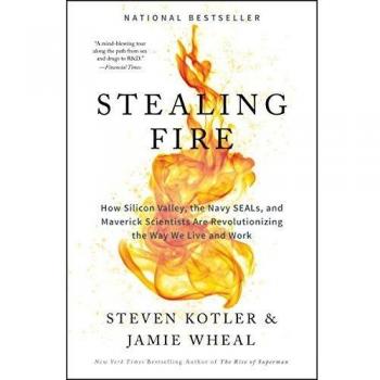 Stealing Fire: How Silicon Valley, the Navy SEALs, and Maveri... by Wheal, Jamie
