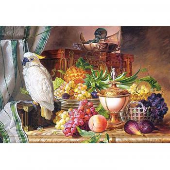 3,000 Piece Castorland Fruit & Cockatoo Puzzle