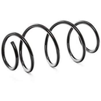 RIDEX Ressort de suspension RENAULT 188C0042