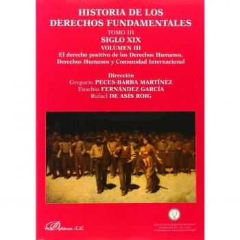 Historia de los derechos fundamentales. Tomo iv. Siglo xx. Volumen v. Cultura de la paz y grupos vulnerables. Libro ii. Grupo(Tapa blanda con solapas).