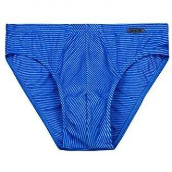 Ammann Slip »Mini Slip Baumwolle 1er«