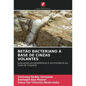 BETÃO BACTERIANO À BASE DE CINZAS VOLANTES: AVALIAÇÃO DO DESEMPENHO E DA EFICIÊNCIA NA CURA DE FISSURAS