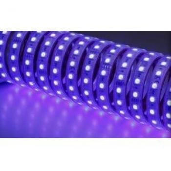 Nobile Illuminazione
