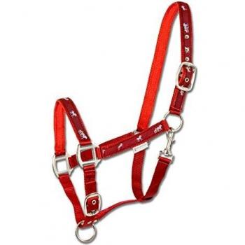 Waldhausen Little Horse Halter – Red Cob (Limited)