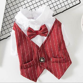 Ropa de gala para perros pequeños