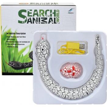 RC Rattlesnake for Kids