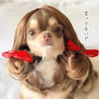 Disfraz Mascotín Festivo