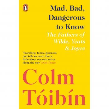 Colm Tóibín Mad, Bad, Dangerous to Know (Taschenbuch)