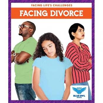 Facing Divorce by Stephanie Finne