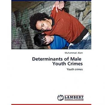Determinants of Male Youth Crimes