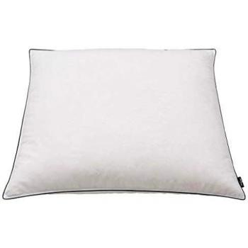 VidaXL Lot de 2 oreillers carrés avec remplissage en duvet 80x80 cm blanc