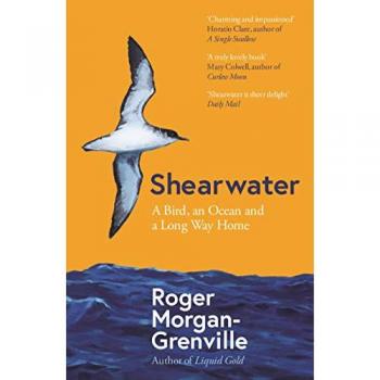 Shearwater