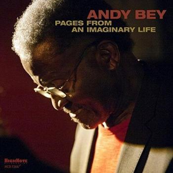Pages from an imaginary life