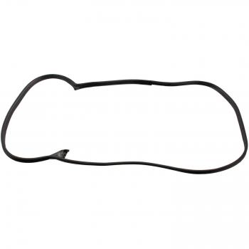 FEBI BILSTEIN 08875 Goma de puerta