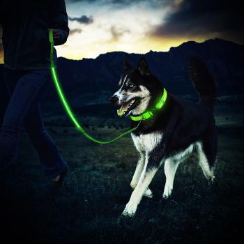 Collar LED recargable para Perro ZeWoo + Correa