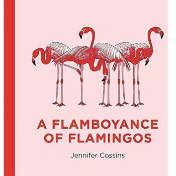 A Flamboyance of Flamingos