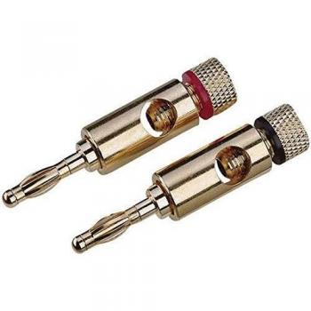 Connettore High-End per altoparlanti Oro 2 pz