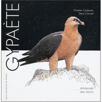Gypaète