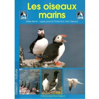 Les oiseaux marins : Réserve naturelle des Sept-Iles