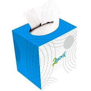 Valuex Facial Tissue Cube 2 Ply 70 Sheet White (Pack 24) 1103003