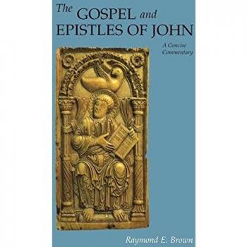 Gospel and Epistles of John: A Concise Commentary