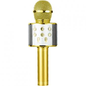 Mini Wireless Karaoke Mic for Children