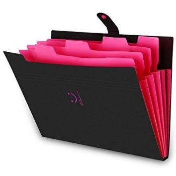 School & Office Expanding File Case