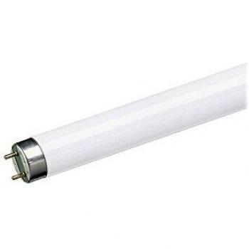 Tubo Fluorescente Trifosforo 36W 865 Luz Fría