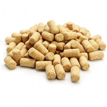 Bouchons en bois coniques pour bouteilles